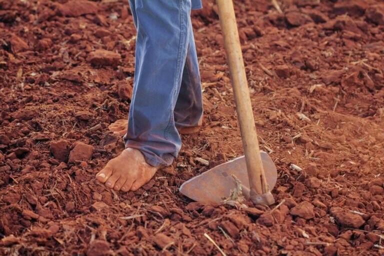 Siervo sin Tierra, Person Plowing Soil