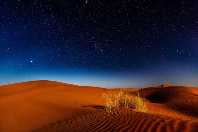 El Alquimista de Paulo Coelho, desert during nighttime