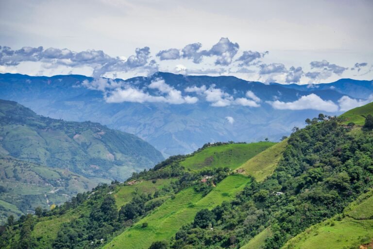 Oración por la Protección del Medio Ambiente