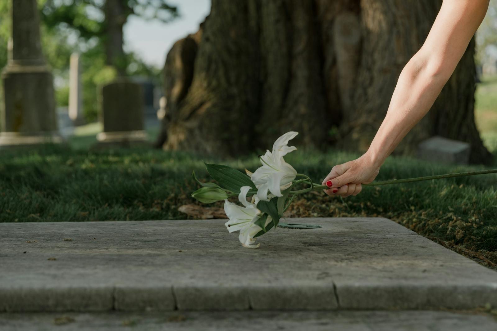 qué pasa después de la muerte, A solemn moment of placing white lilies on a cemetery gravestone, symbolizing loss and remembrance.