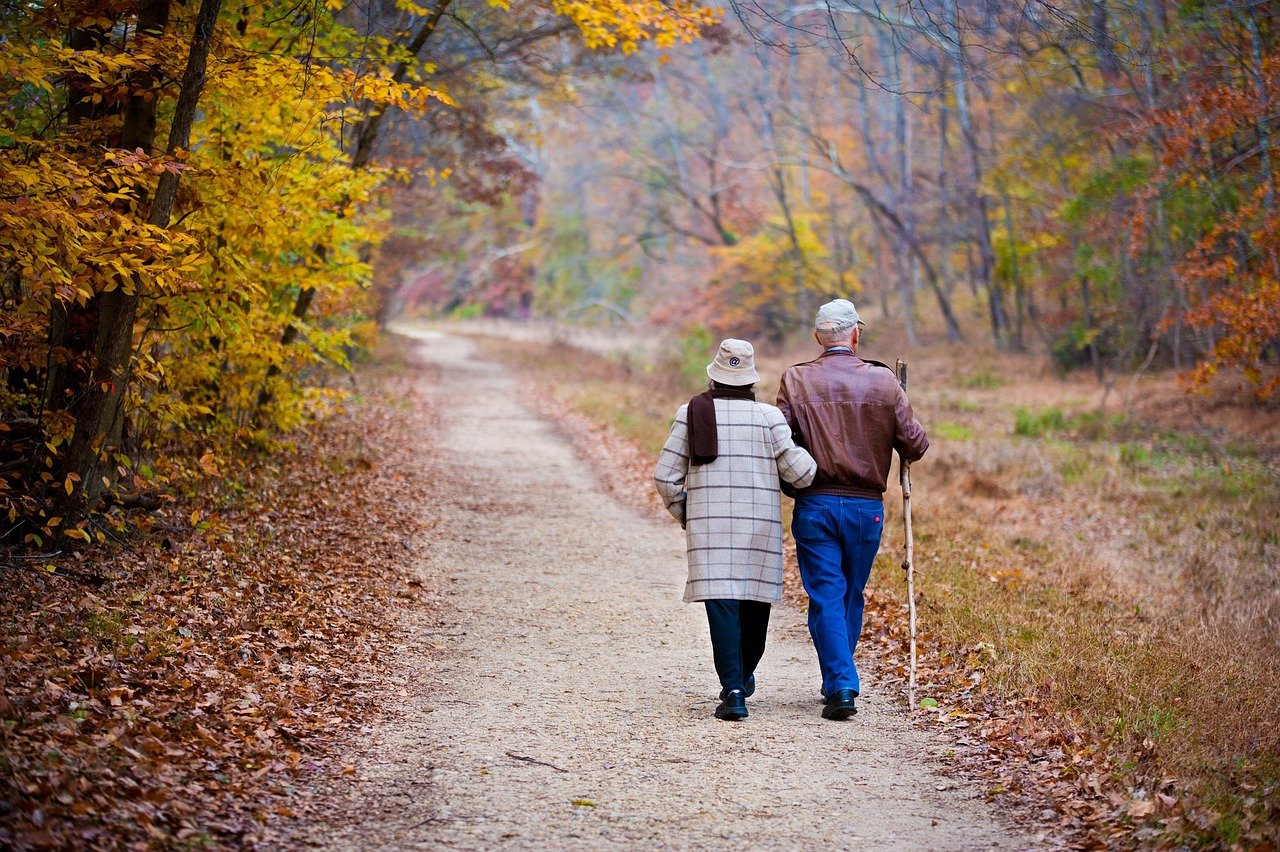 relaciones sanas, couple, elderly, walking, fall, trail, elderly couple, old couple, holding hands, path, autumn, trees, outdoors, nature, grandparents, couple, couple, couple, couple, couple, elderly, elderly couple, old couple, old couple, grandparents