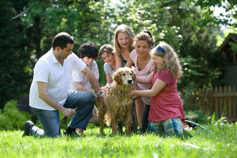 amar de verdad, group of people standing on green grass field during daytime