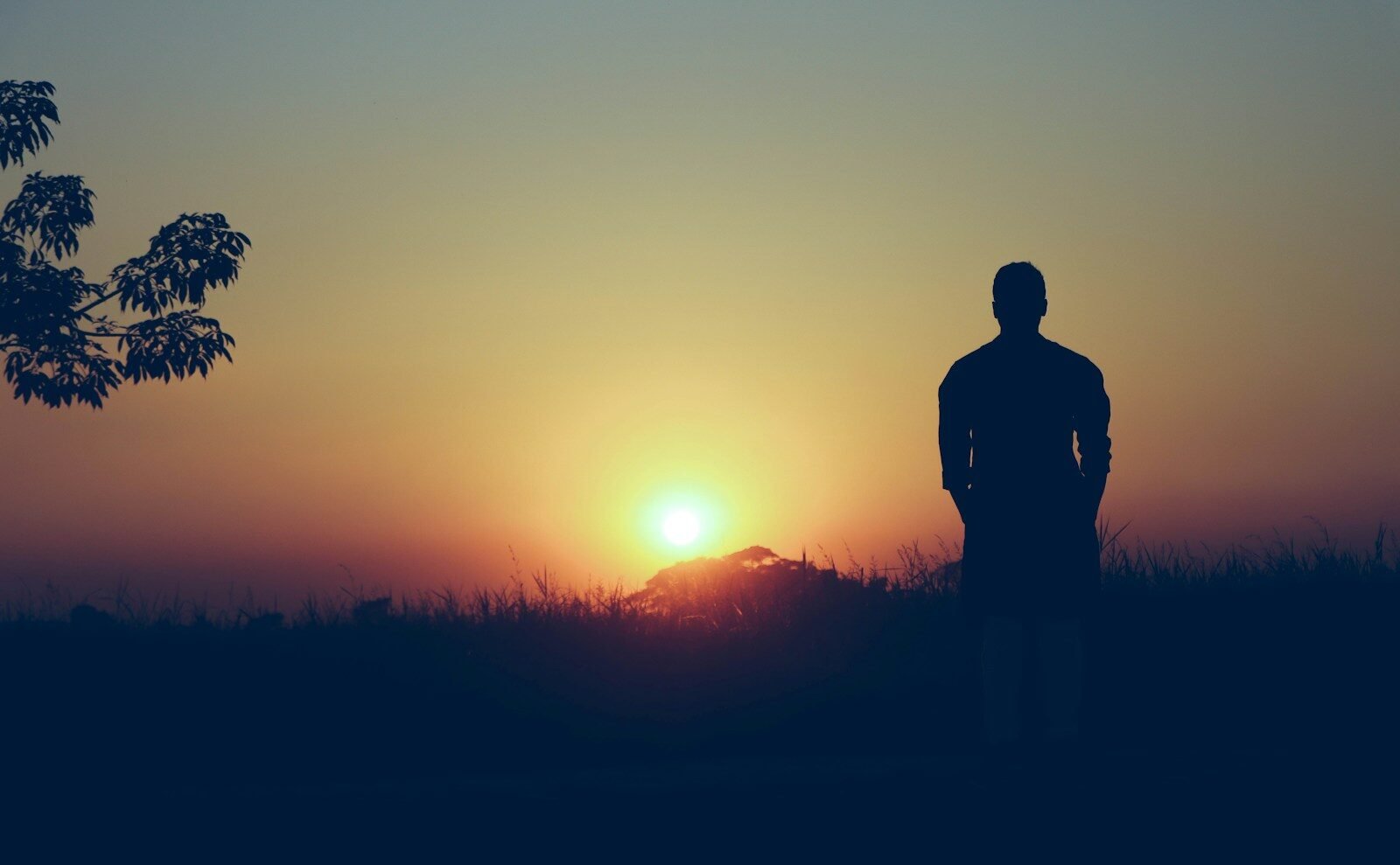 cómo empezar de nuevo, silhouette of man standing on grass field during sunset